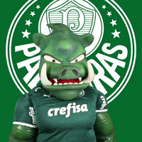 soccer fica esperto GIF by SE Palmeiras