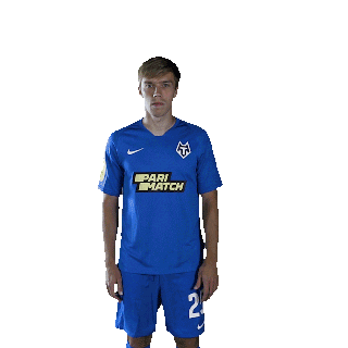 pfctambov Sticker