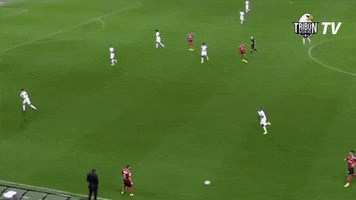 Tribun Besiktas GIF