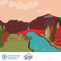 Food And Agriculture Organization Water GIF by FAO