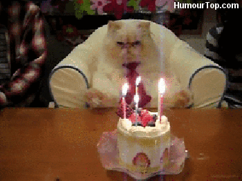Gif s bílou kočkou s kravatou sedící v bílém křesle před narozeninovým dortem s hořícími svíčkami.