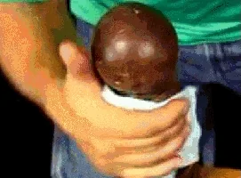 giphy.webp