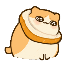 Cats Breadcat Sticker by Bichi Mao