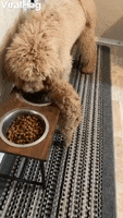 200.gif?cid=fc005b089603b2a8137e70553132b1e58d490a6fc55fb6c8&rid=200.gif&ct=g