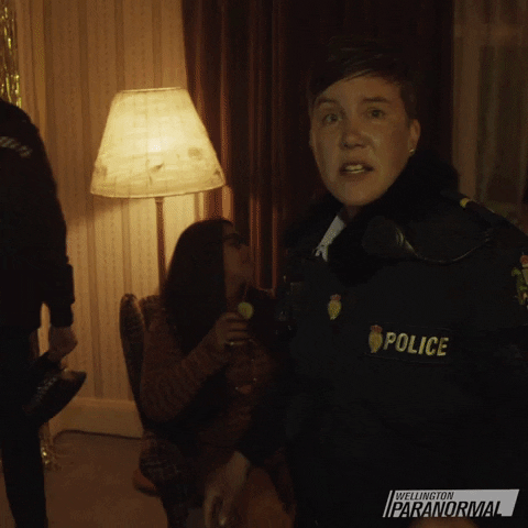 Party Psa GIF by Wellington Paranormal