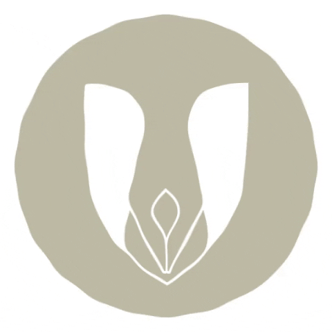 Cartório de Balsas - Segundo Ofício GIF