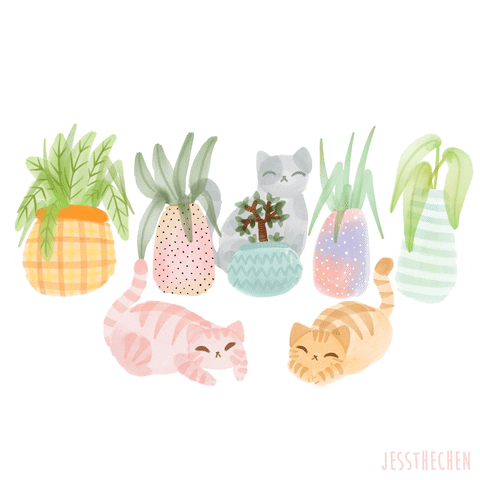 Cats Plants GIF by jessthechen
