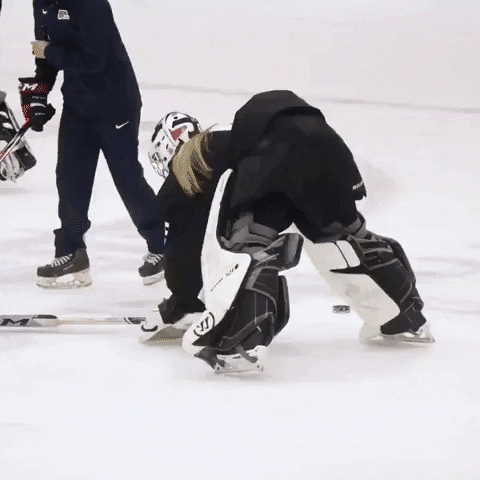 USAHockey hockey stop motion rolling goalie GIF