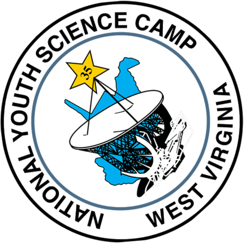 Nysc Nysf Sticker by NYSFoundation