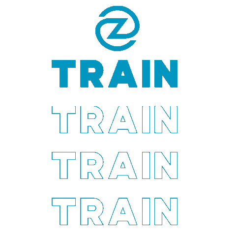 Zoom Cville Sticker