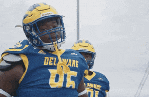 College Sports Dance GIF by Delaware Blue Hens