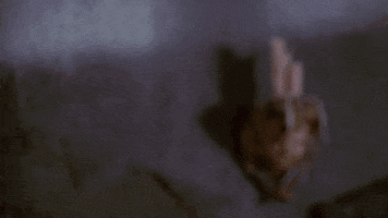 Spike GIF