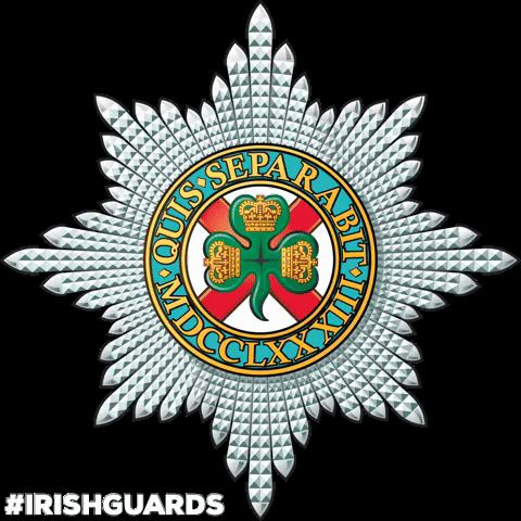 TheGuards ireland irish british army the guards GIF