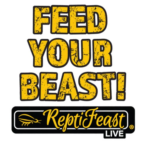 Reptiles Sticker by Segrest, Inc.