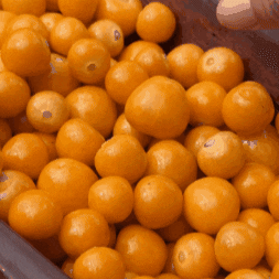 Goldenberry GIF by Miami Fruit