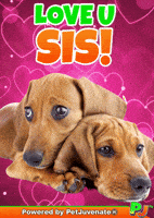 Puppy Dog Eyes GIF by PetJuvenate