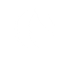 cometabolism Sticker