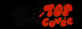 Topcuvee GIF by Yard Sale Pizza
