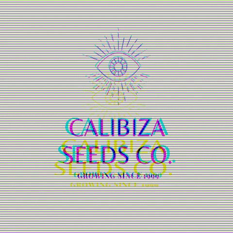 Calibiza Seeds Co. GIF