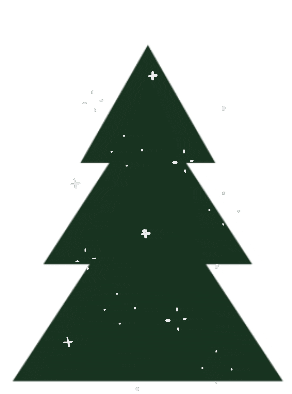 Christmas Tree GIF by Bodensee Consulting e.V.