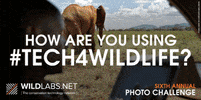 Wildlife GIF
