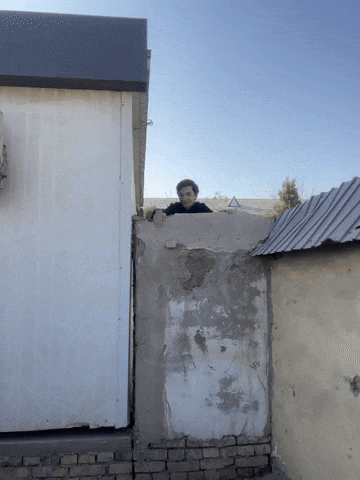 Palvon17 GIF