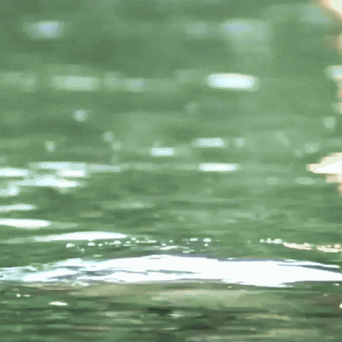 Mohanlal Lalettan GIF