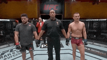 Kelvin Gastelum Sport GIF by UFC