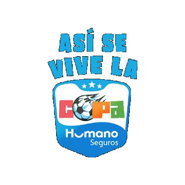Soccer Futbol Sticker by Humanos Seguros