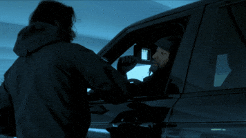 009fly GIF