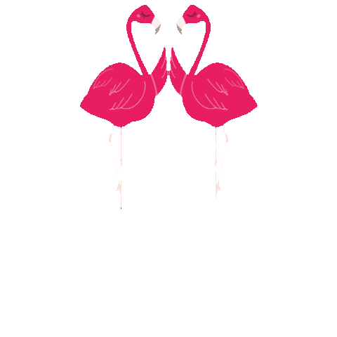 The Boutique & Co Sticker