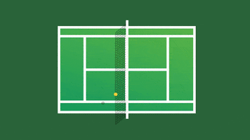 Tennis Ball GIF by MATCHi