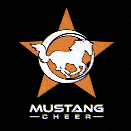 Mustang Houston GIF by Mustang Cheer