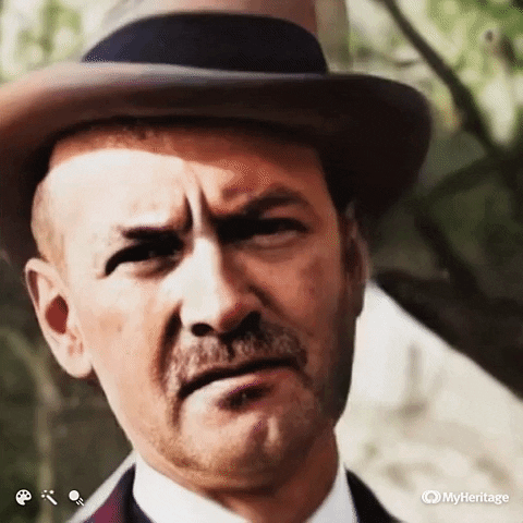 Mayor GIF