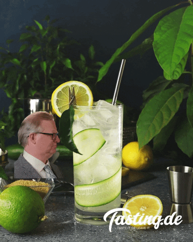 tastingde gin cucumber tonic gin cocktail GIF