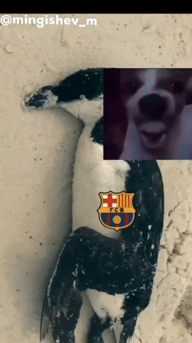 Barcelona Madrid GIF