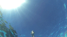 Pool Cannonball GIF - Find & Share on GIPHY