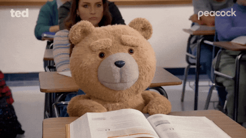 Has anyone else watched the Ted tv series???