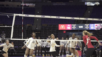 Volleyball Win GIF by LSU Tigers