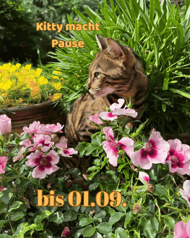 Break Pause GIF by Kitty Fuchs