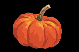 Fall Pumpkin GIF by Little Hero Foundation