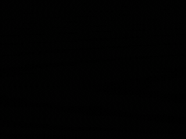 Noob Saibot Discipline GIF