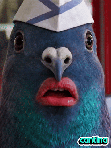 Shock Wow GIF by Cantina