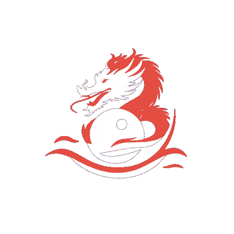 Dragon Sticker by DANA Senioreneinrichtungen