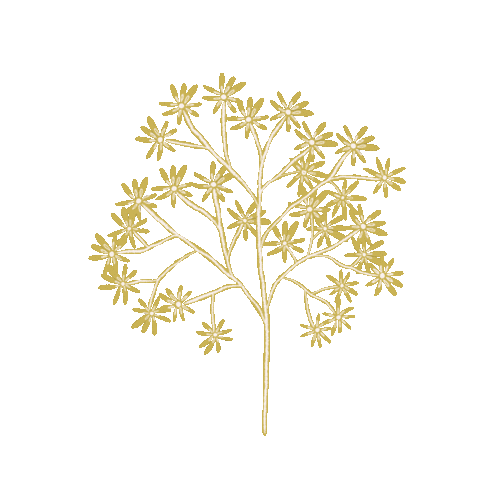 Daisy Sticker