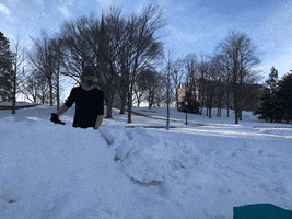 GIF by Middlebury