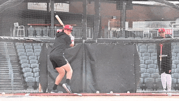 Sport Baseball GIF by Fayetteville Woodpeckers