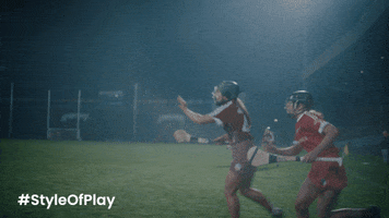 Galway Hurling Catch GIF by Littlewoods Ireland