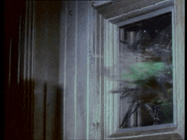 hulk  GIF