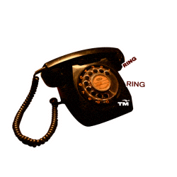 Ring Hello Sticker by TM Group